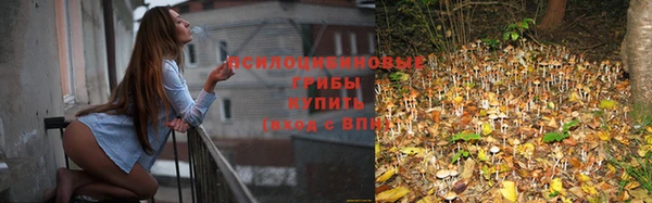 мескалин Ростов